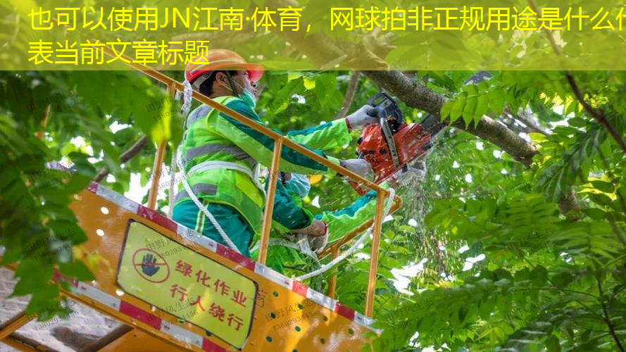 JN江南·体育，网球拍非正规用途是什么