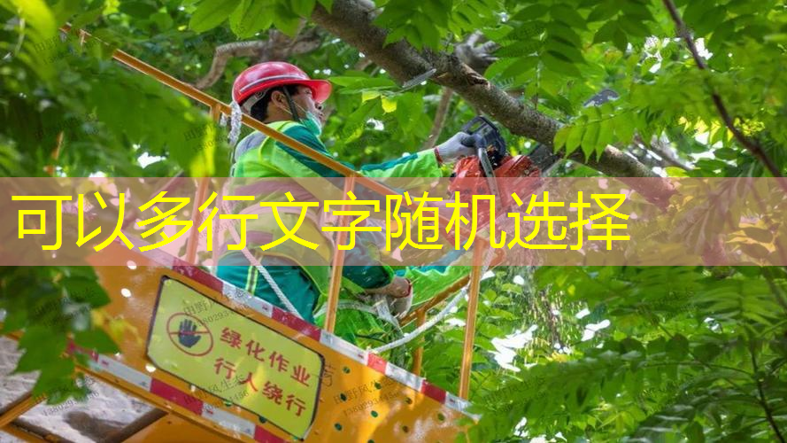 jn江南公司，室内健身穿搭宽松短袖女