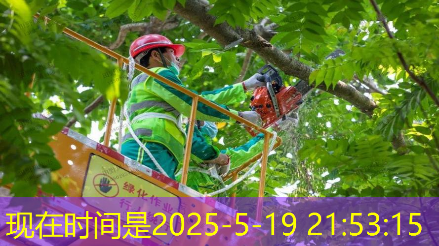 网球拍非正规用途是什么