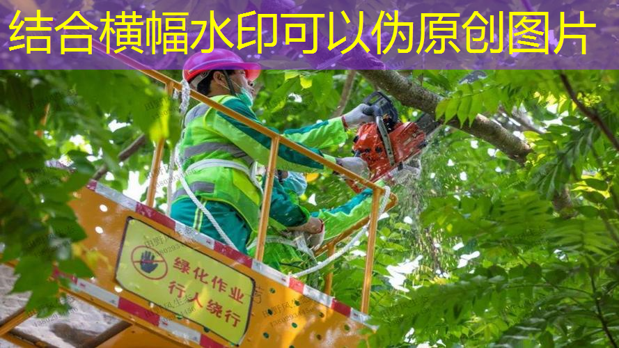 江南·体育官方网站登录，乒乓菊拼成网球拍样式花束