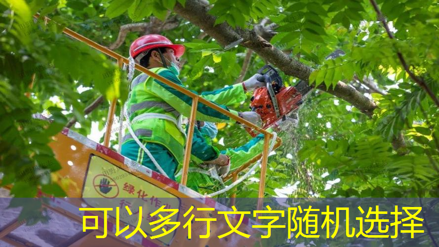 jn江南·体育登录入口，幼儿园大班优秀体育活动教案《我和春天有个约会》含反思