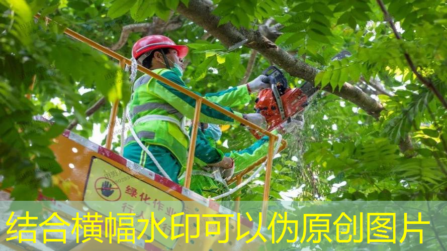 jn江南官方体育，新款全碳素网球拍怎么样