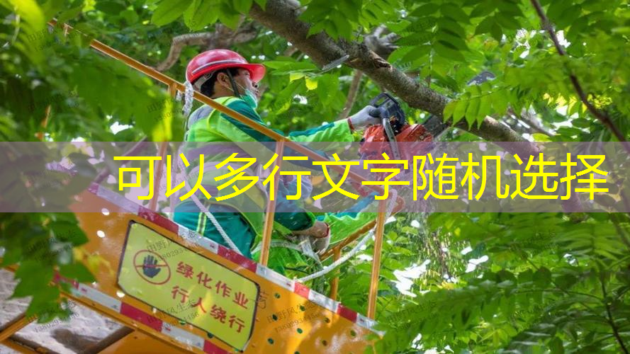 jn江南娱乐，在乒乓球台上足球比赛