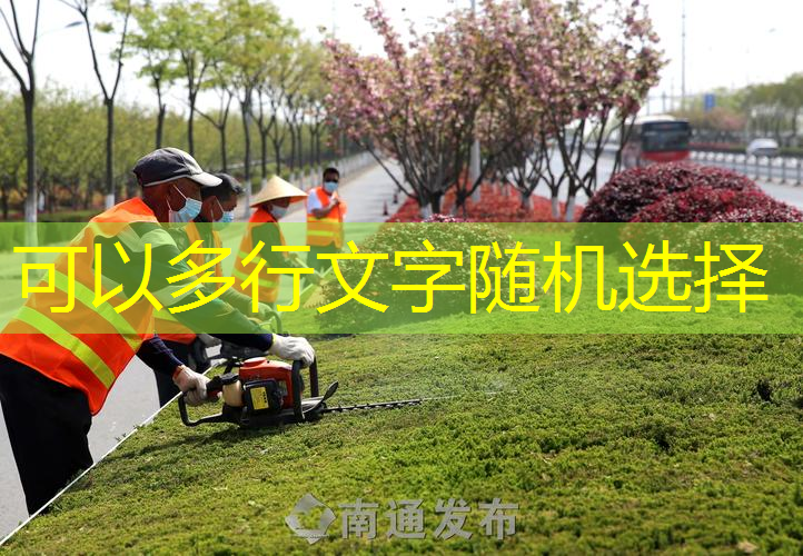 户外手掌按摩器：享受户外活动与按摩的奇妙体验