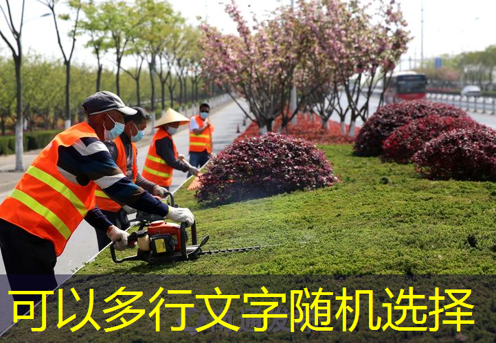 江南·体育官方网站登录，田径核心力量器材训练计划