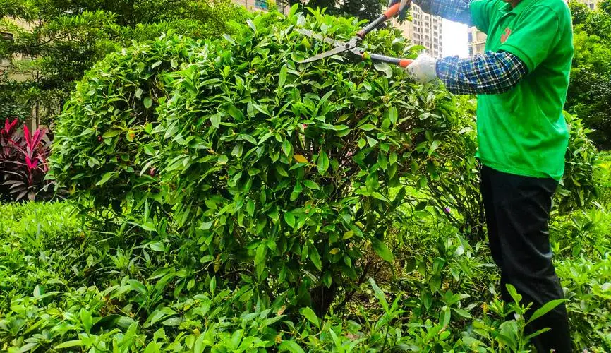 网球拍正手击球手腕形状
