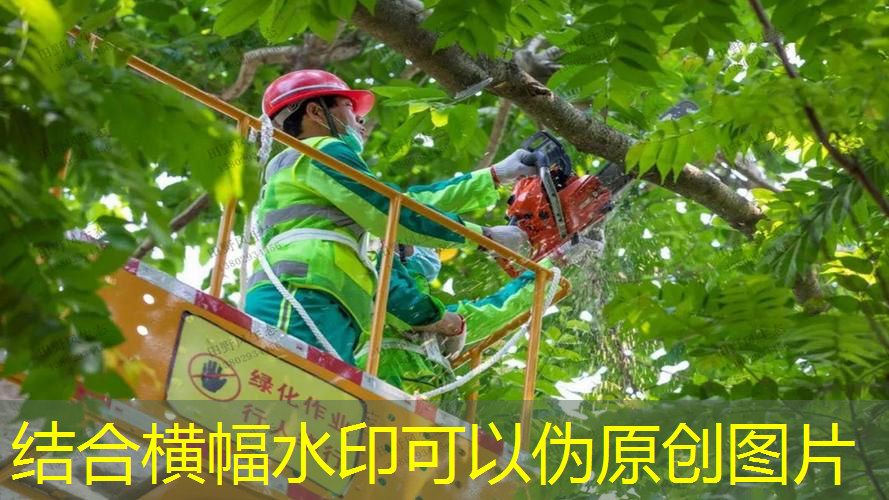 家用乒乓球台尺寸推荐