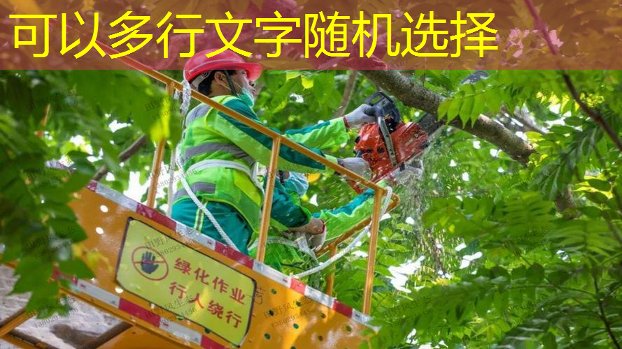 室内篮球训练器材推荐用