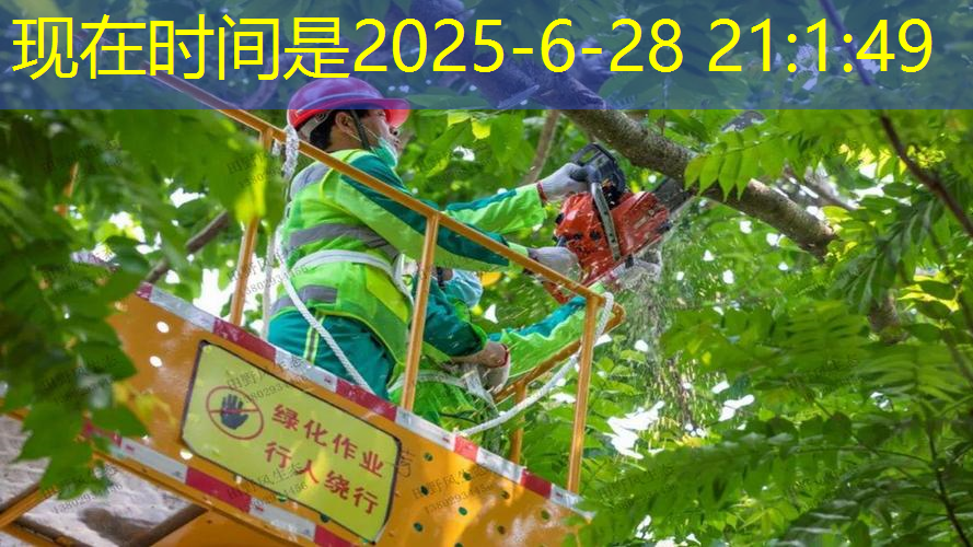 在乒乓球台上足球比赛