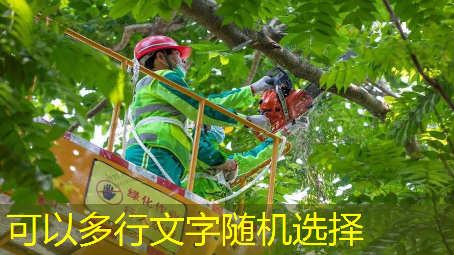 室内健身运动幽默说说