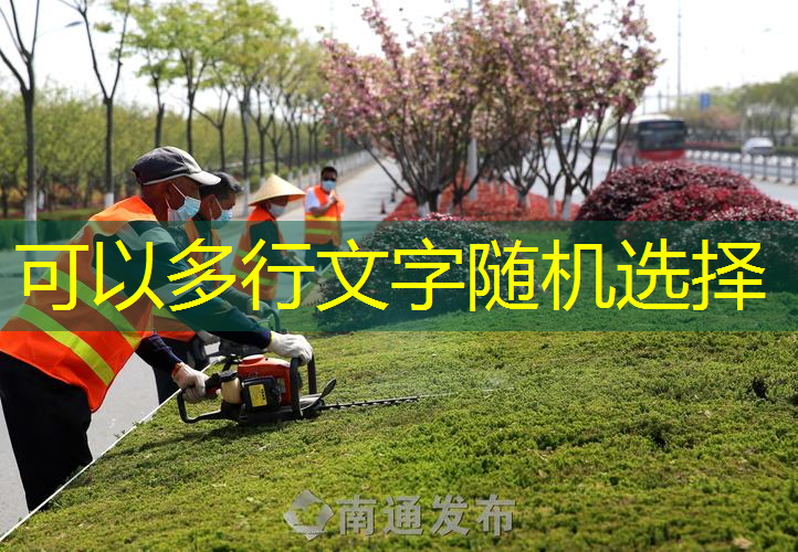 什么器材可以练投篮球