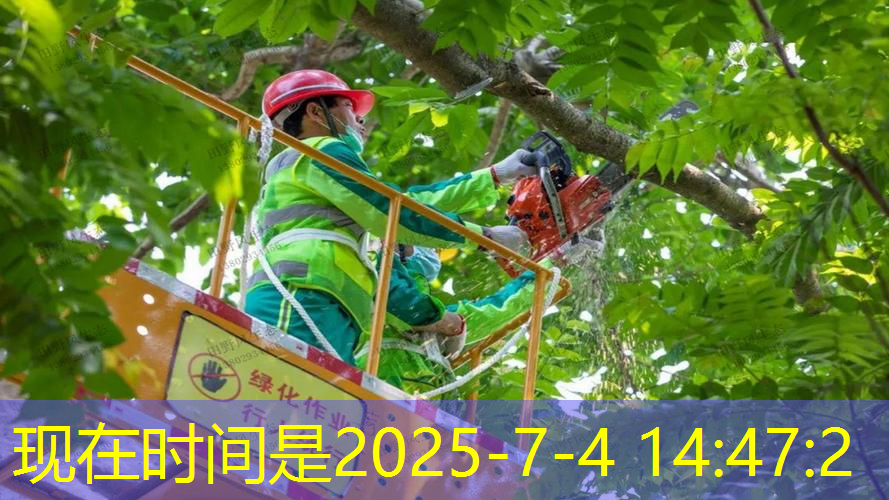 室内健身吊杠