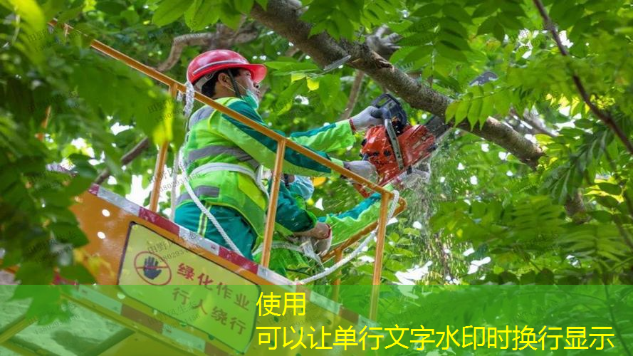 大自然的魔法，室外儿童体育器材诠释多彩童年